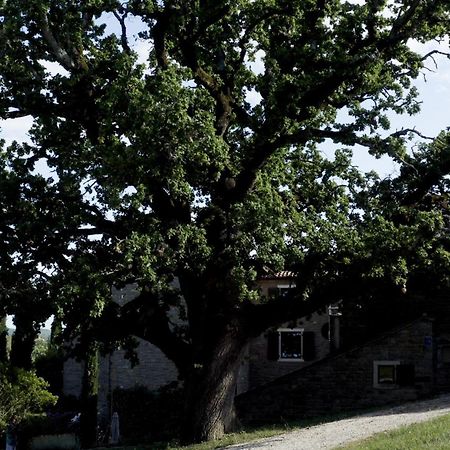 Апартаменты L'Abbraccio Della Quercia Momjan Экстерьер фото