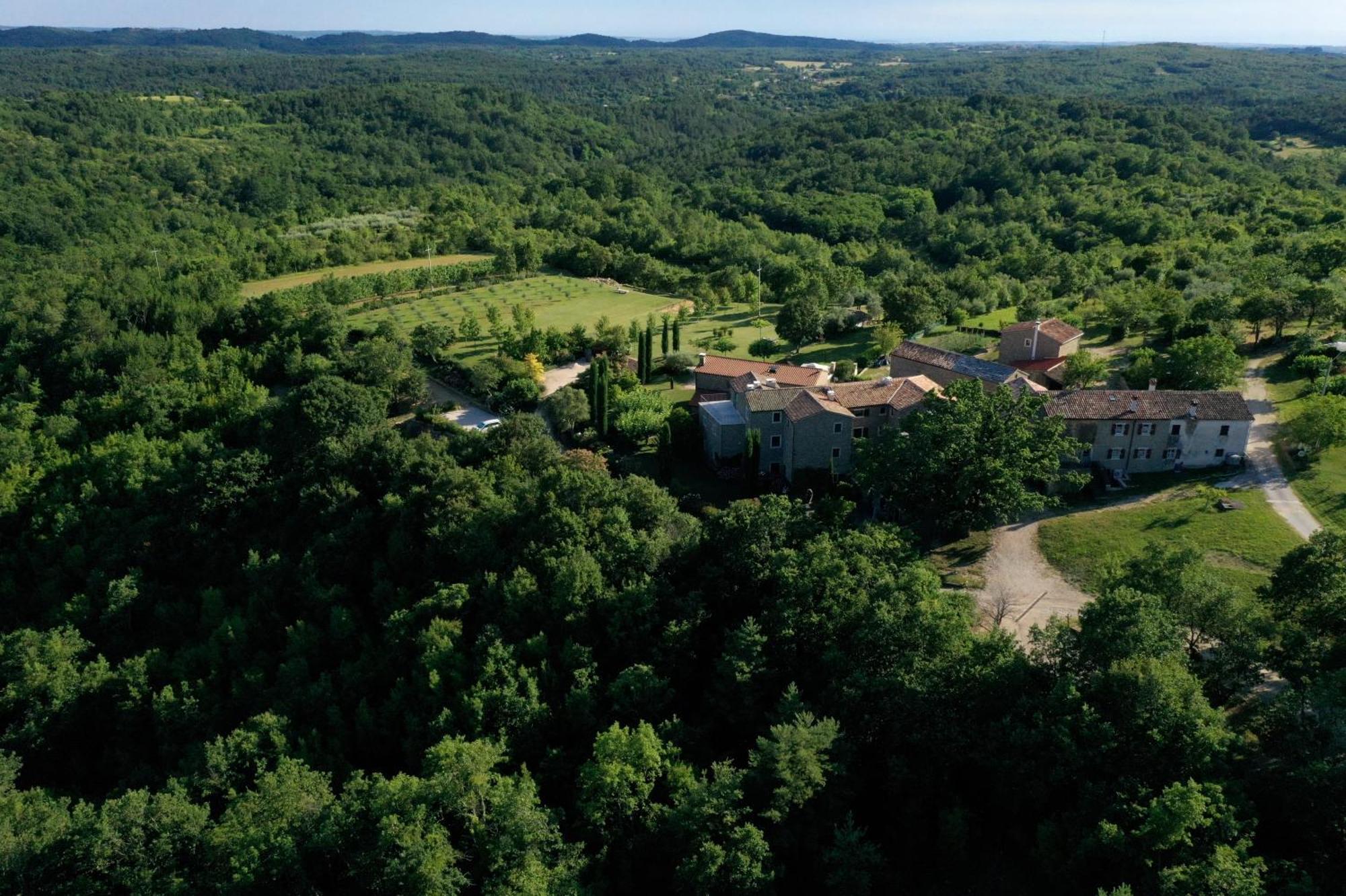 Апартаменты L'Abbraccio Della Quercia Momjan Экстерьер фото