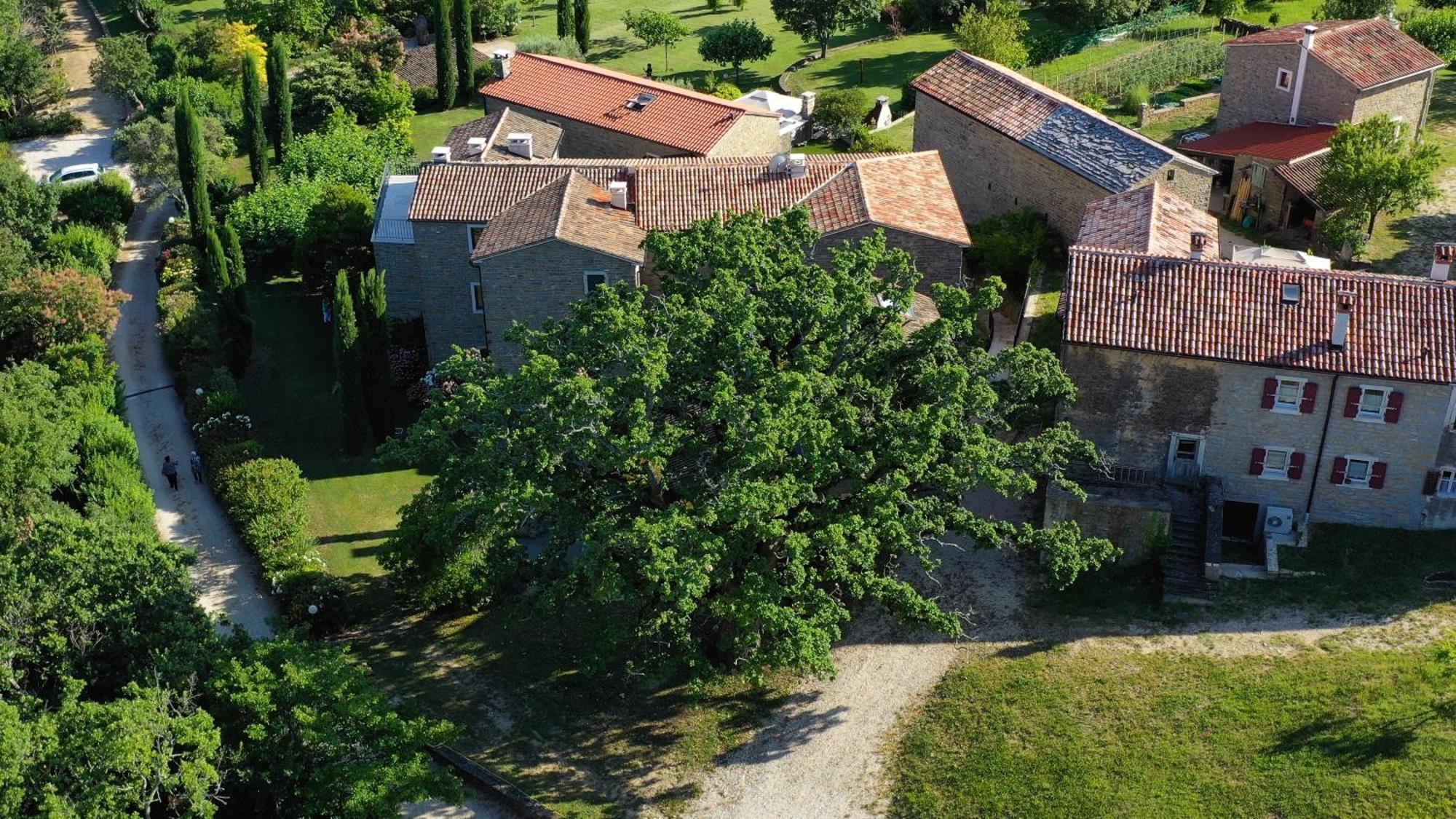 Апартаменты L'Abbraccio Della Quercia Momjan Экстерьер фото